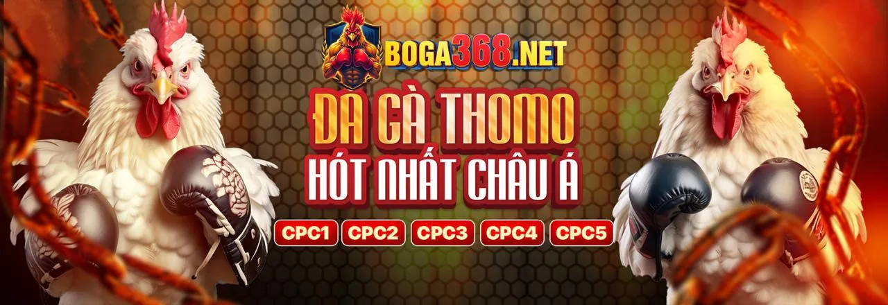 Tổng quan về Kibet Win - Nền tảng giải trí trực tuyến hàng đầu Việt Nam 2026